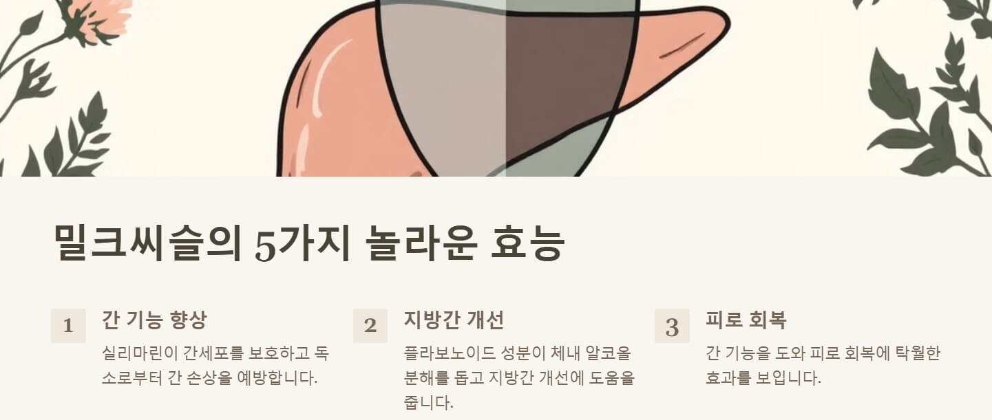 밀크씨슬 효과 복용법
