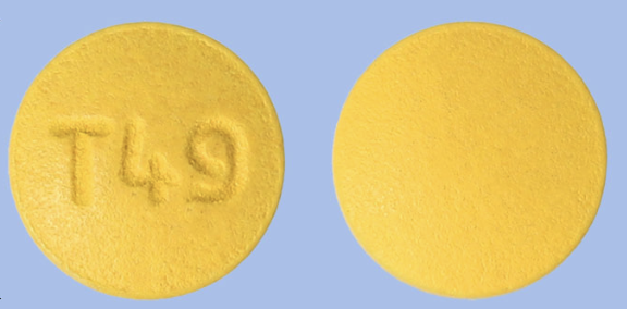 락토딘프리미엄정