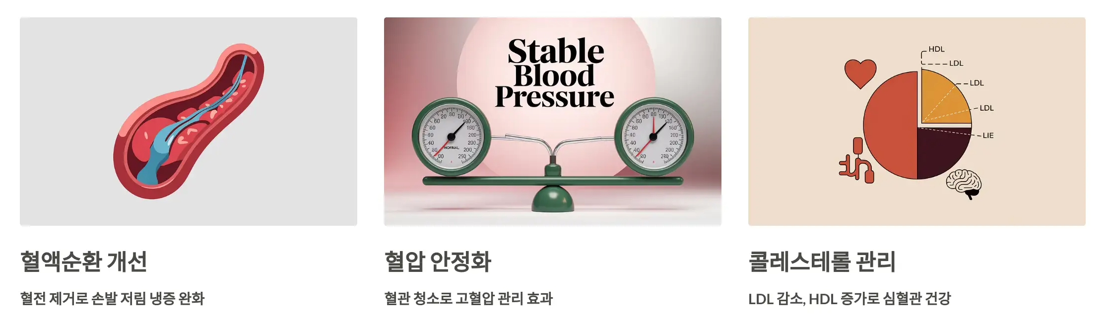 나토키나제 효능(2)