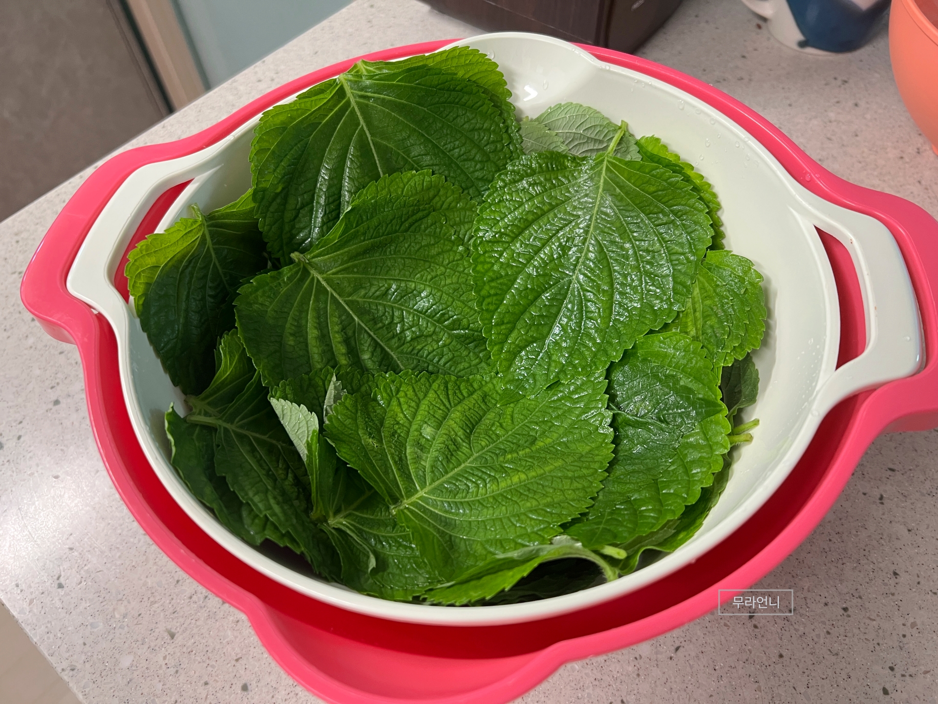 세척한 깻잎은 물기빼주기