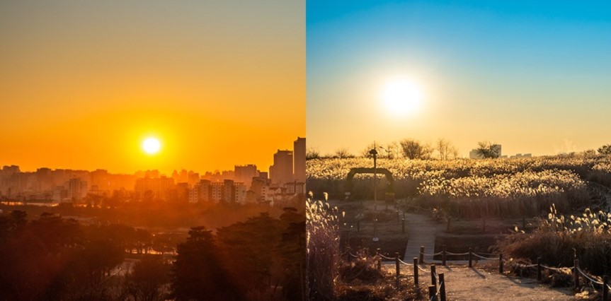 하늘공원 해돋이 명소