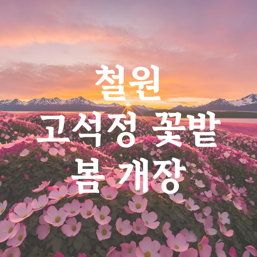 철원 고석정 꽃밭축제