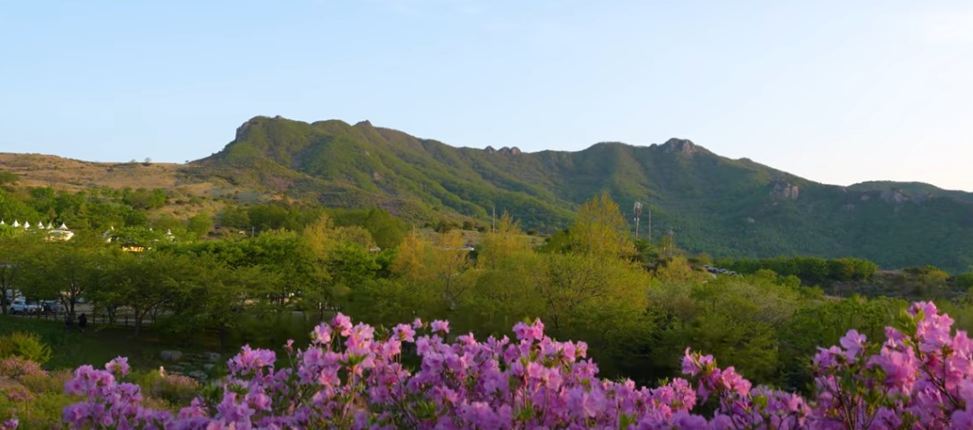 5월에 꼭 가봐야 할 적국 봄꽃 명소