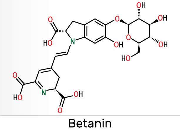 베타 레인 효능