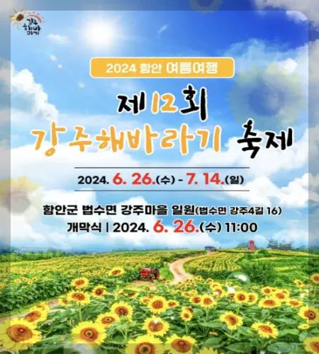 강주 해바라기 축제