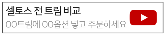 셀토스트림비교