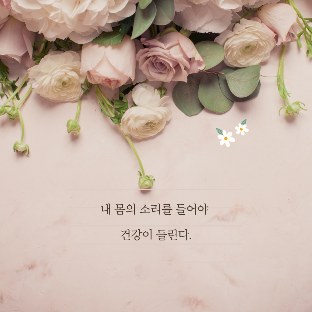 건강 명언 모음 이미지 글귀