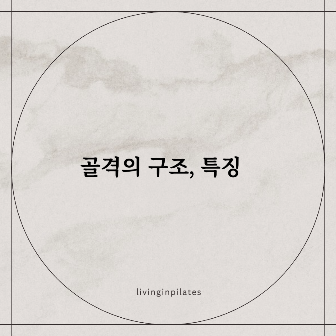 골격의 구조, 특징