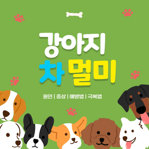 강아지_멀미