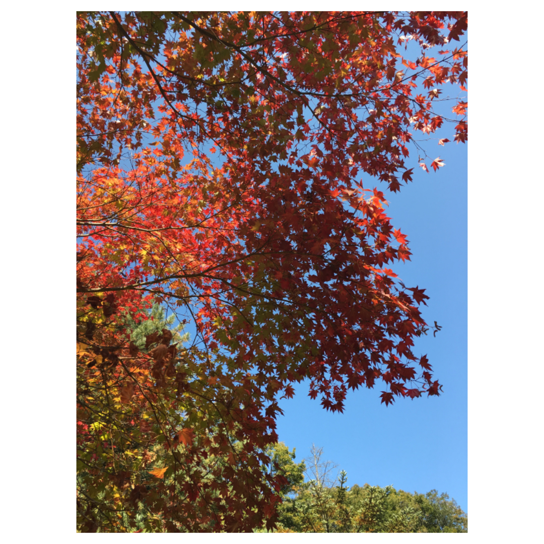 여주와 관련된 사진입니다.