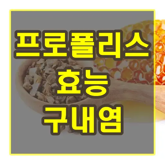 프로폴리스 효능 구내염