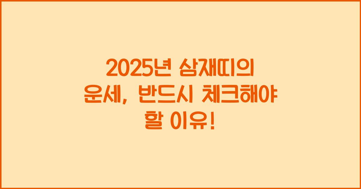2025년 삼재띠