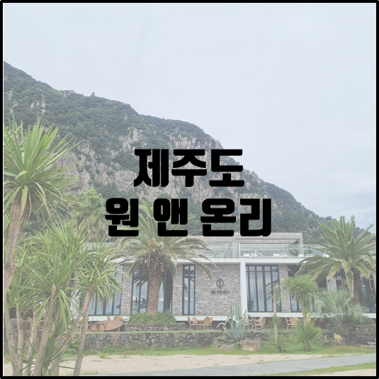 원 앤 온리