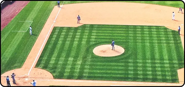 2024 WBSC 프리미어12 결과 한국 야구 탈락 확정