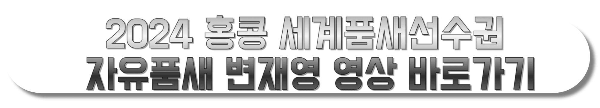 2024-홍콩-세계품새선수권-자유품새-변재영-영상-바로가기