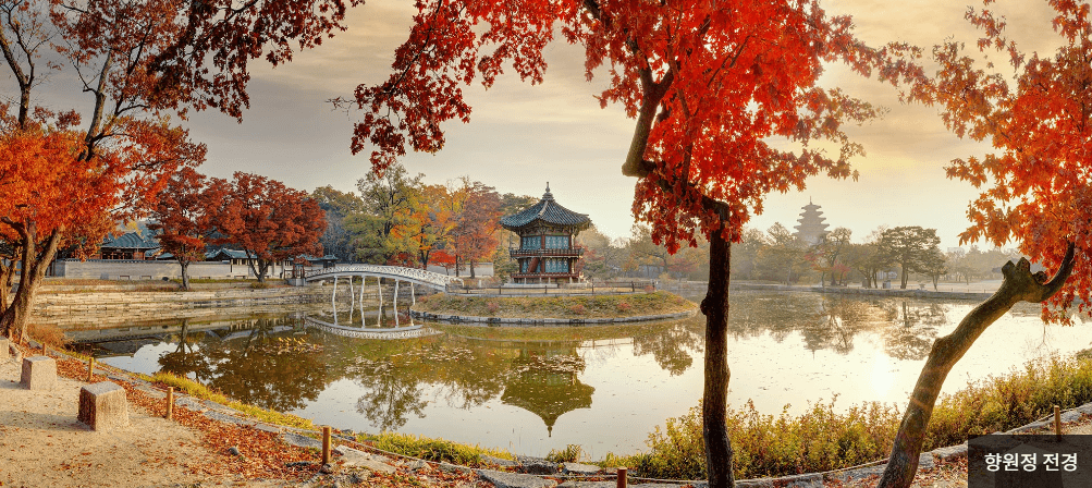 경복궁 야간관람