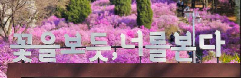 [3,4월 축제]원미산 진달래축제❘진달래 동산 3월, 4월 방문 후기