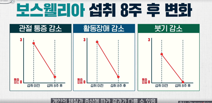보스웰리아 섭취 시 변화되는 그래프