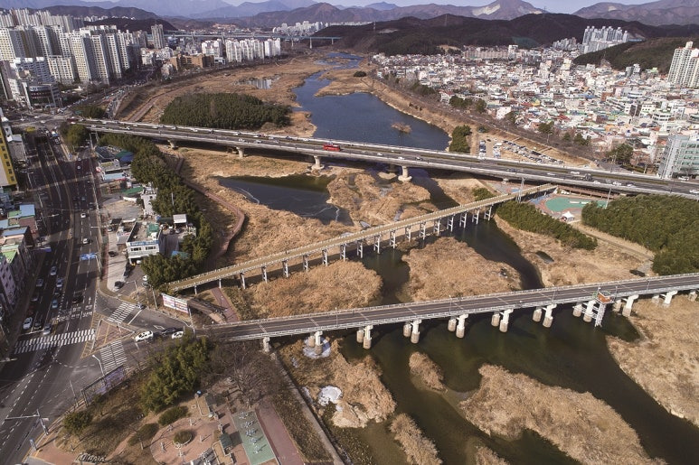 울산 삼호교 전면 통제