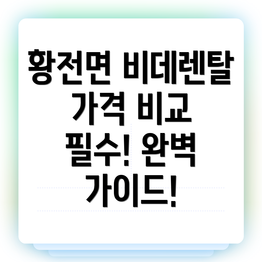 비데렌탈 가격
