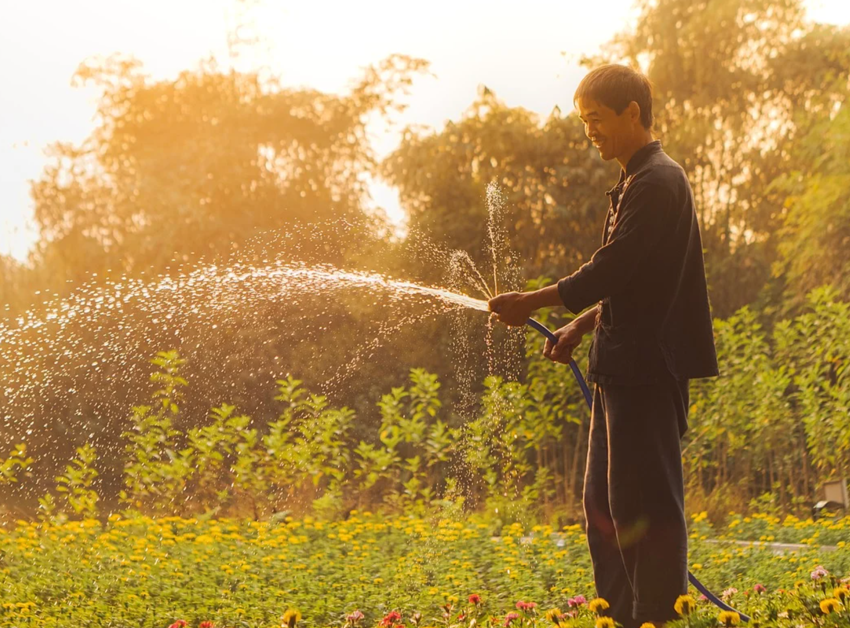 기초연금 수급액과 생활 안정-2