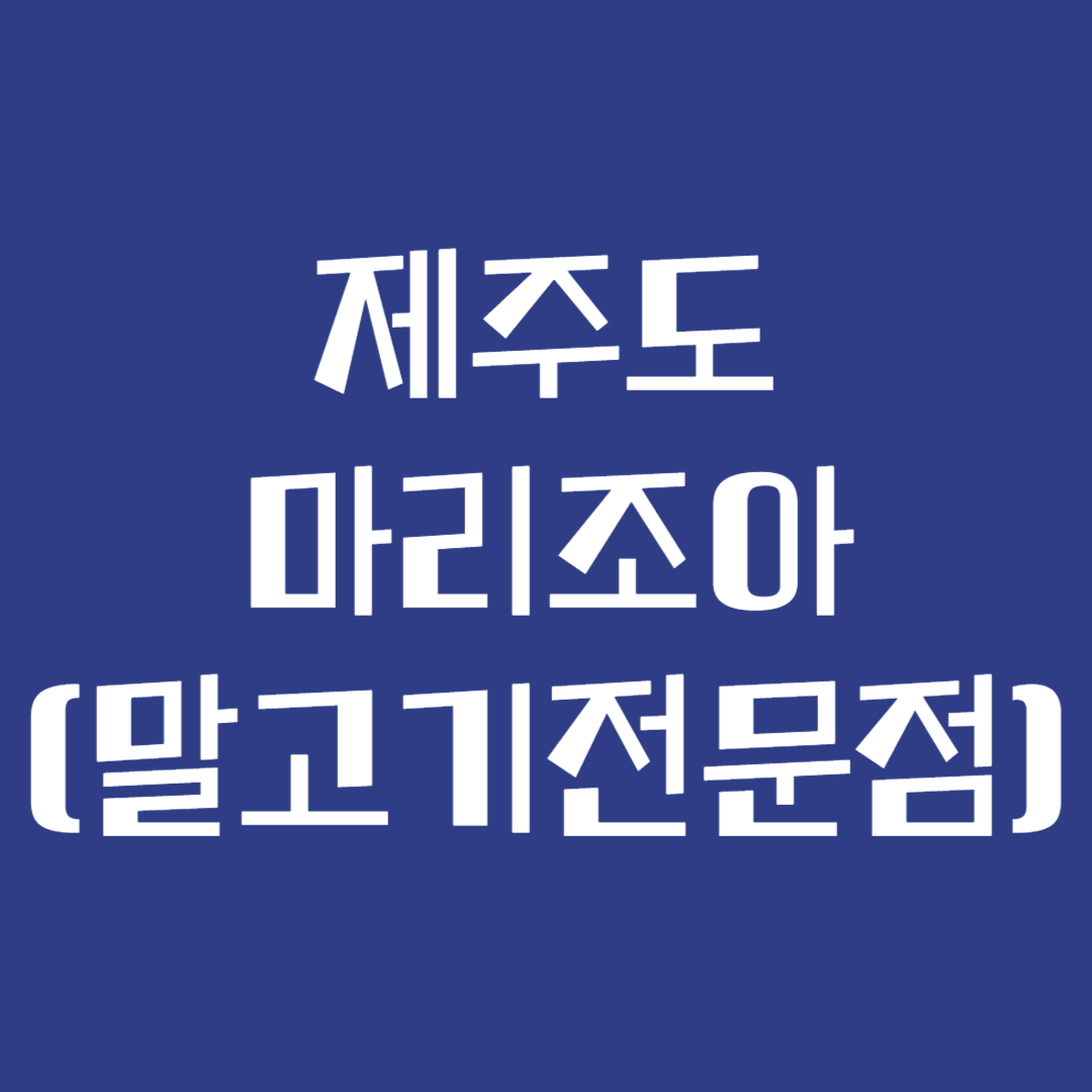 제주도 마리조아 (말고기전문점)