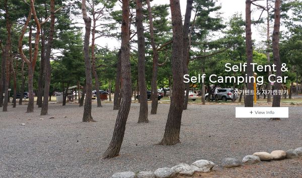 캠핑장-전경