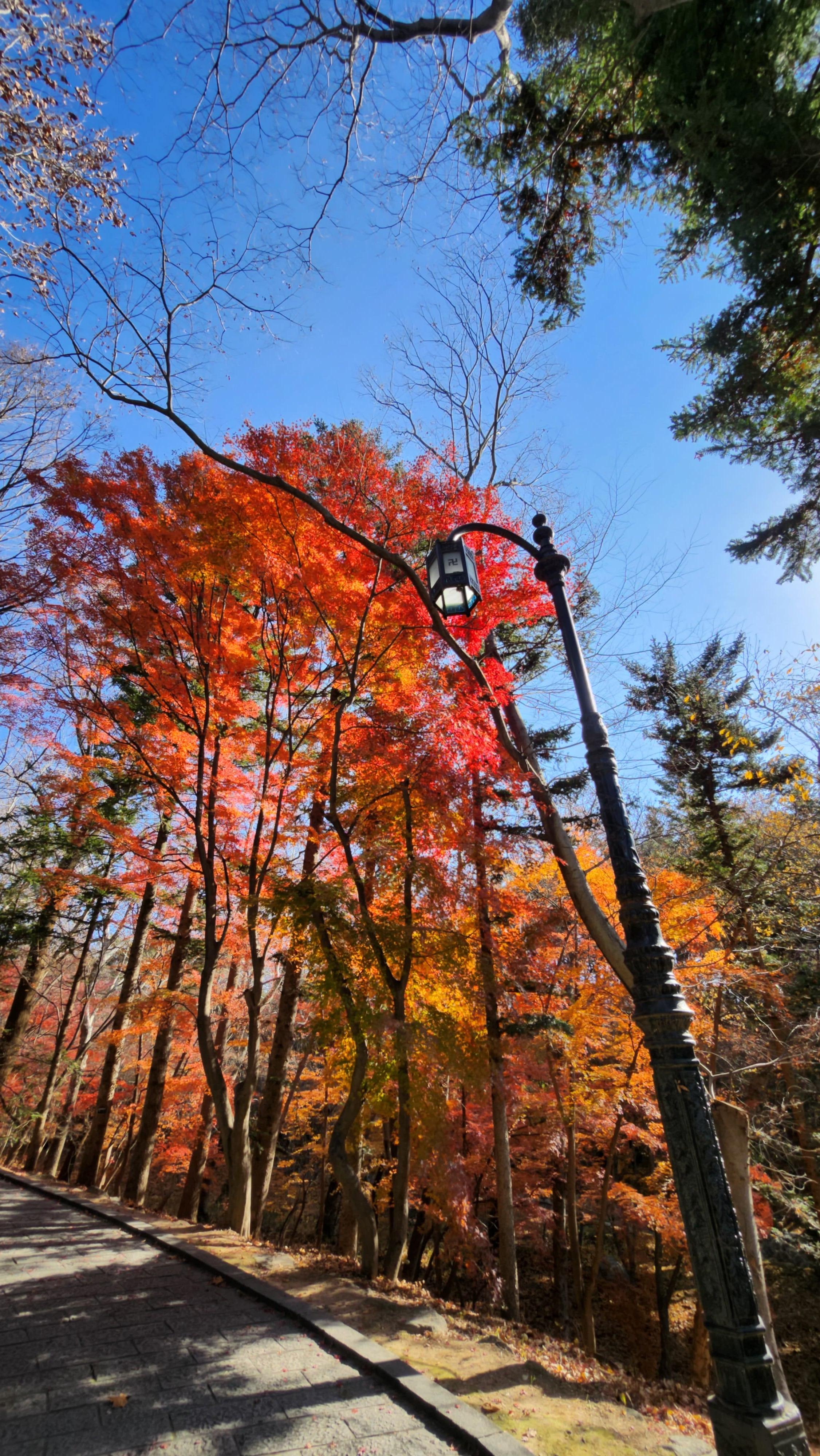 하나의 정기예금