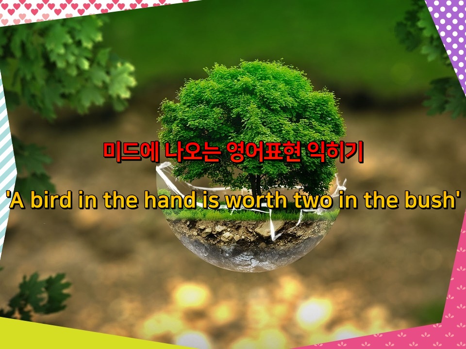 미드에 나오는 영어표현 익히기 'A bird in the hand is worth two in the bush'