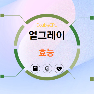 얼그레이 효능 탐구