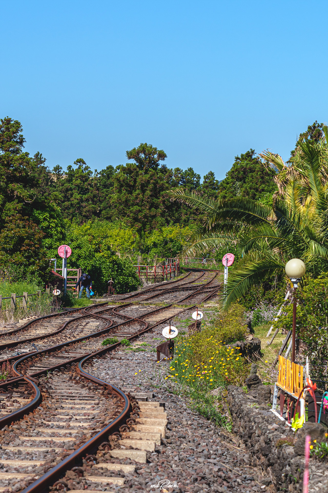 제주 레일바이크