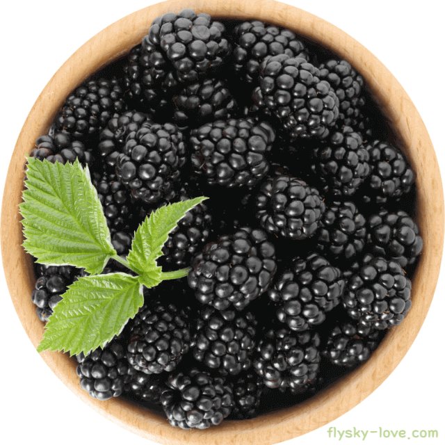 남성 건강에 도움이 되는 복분자