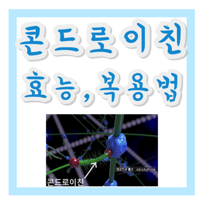 콘드로이친