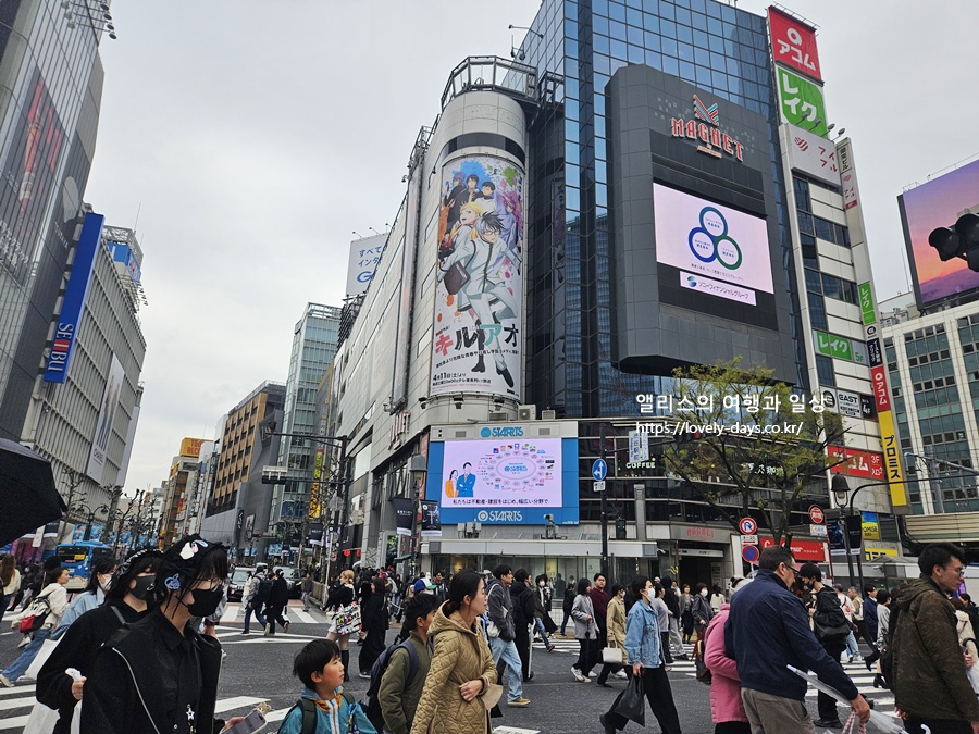 도쿄 여행 시부야 스크램블 교차로 카페 추천 TOP 05