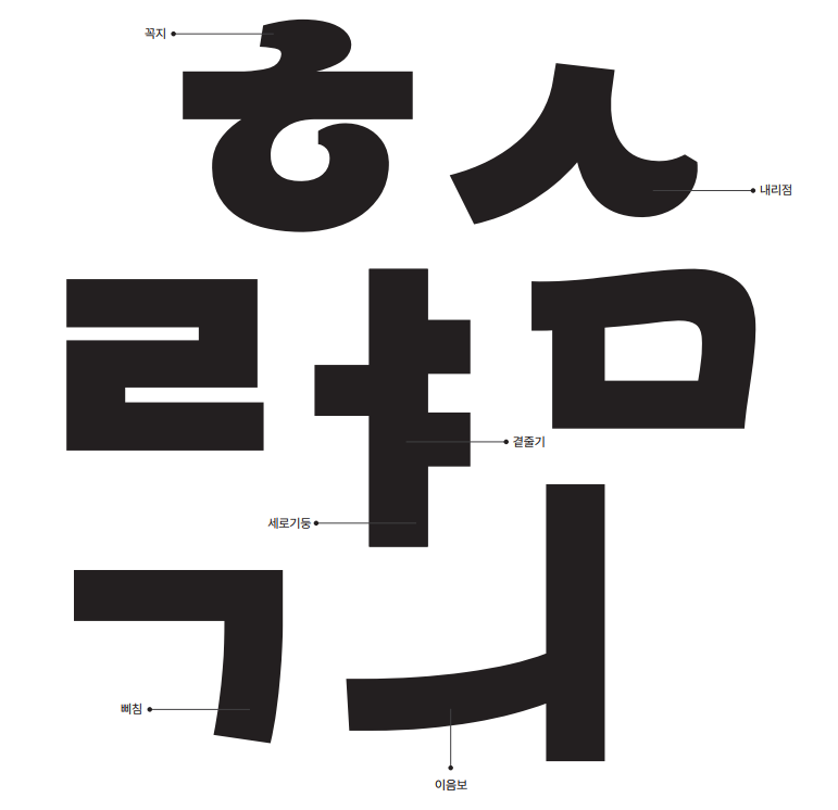 속초바다 돋음체 특징 2