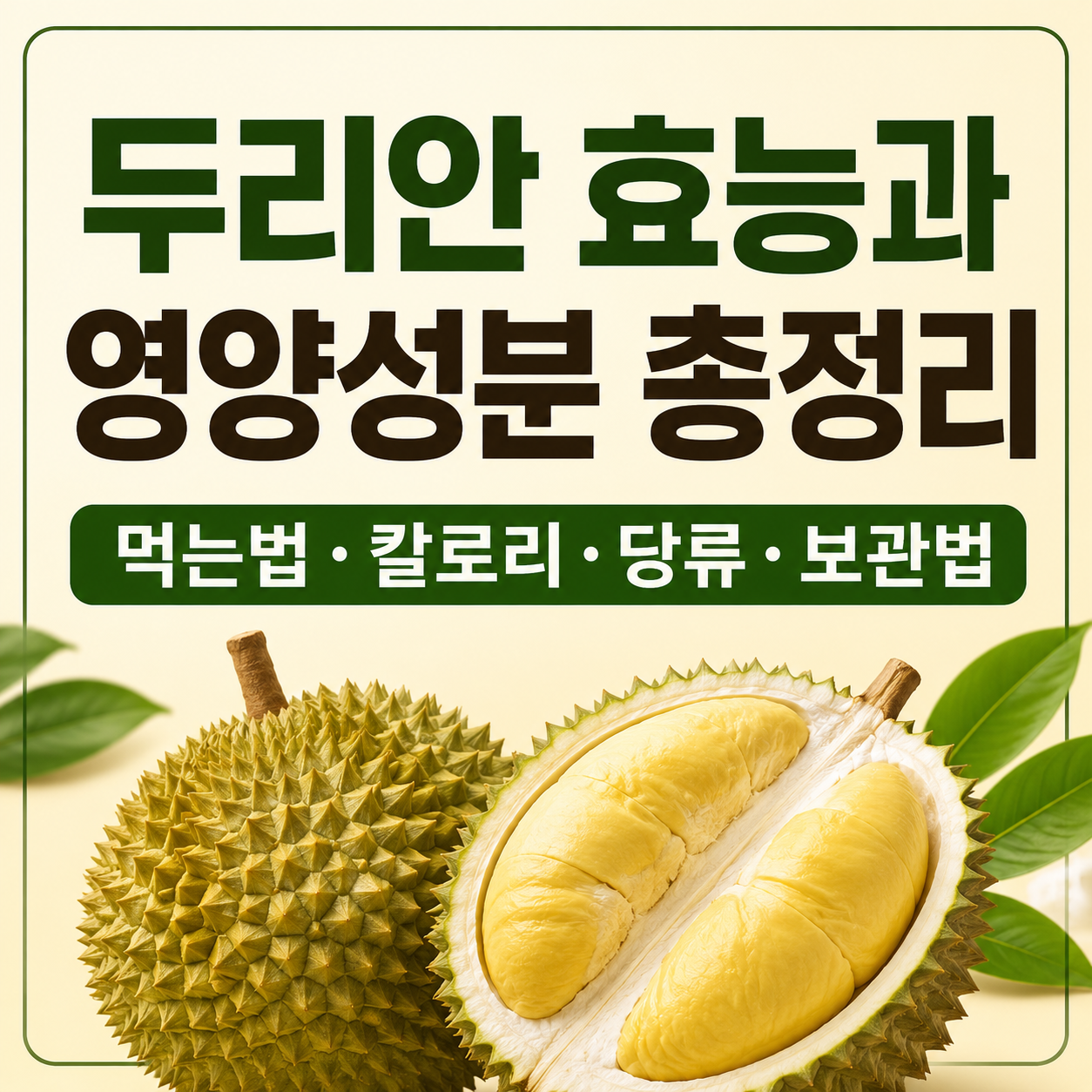 두리안 효능