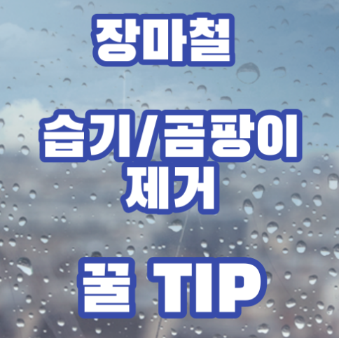 장마철-습기-곰팡이-제거