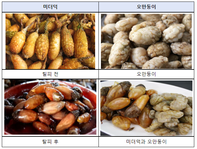 미더덕과 오만둥이, 그 차이점과 구분법 22