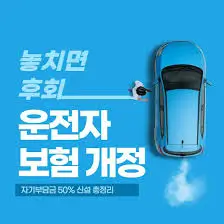 운전자보험