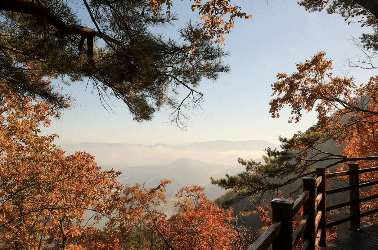 산책길&amp;스카이워크