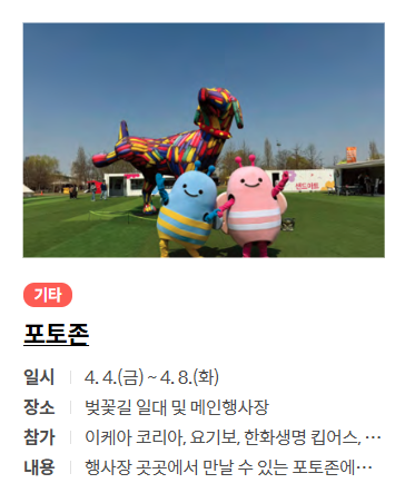 여의도 벚꽃 축제