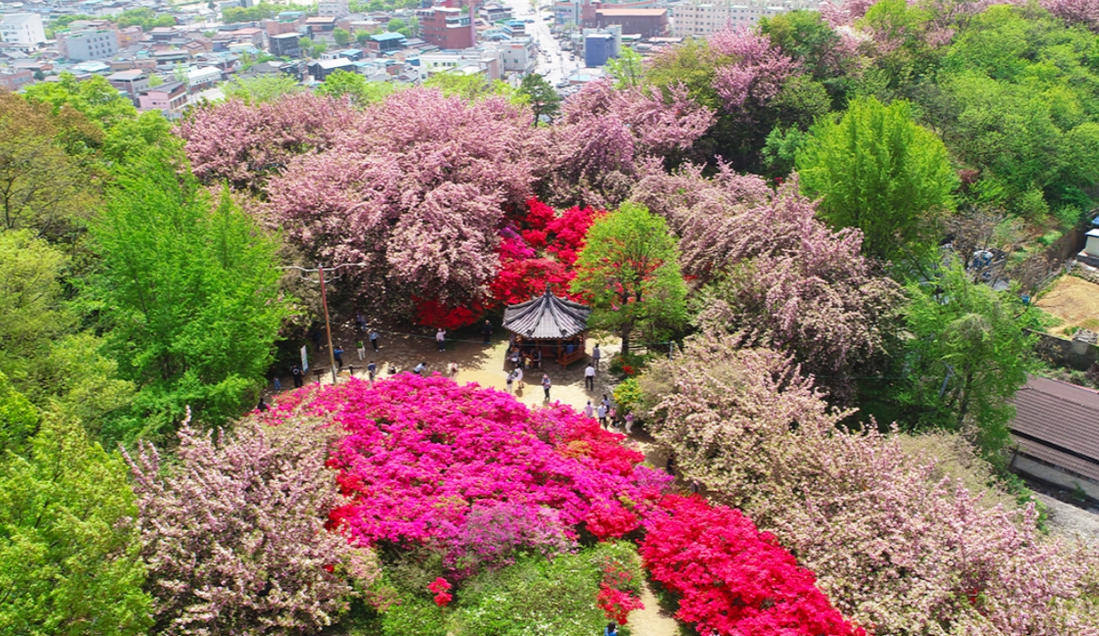 전북 6월 꽃구경 가볼만한곳 베스트 10&amp;#44; 갈만한 축제 여행지 추천