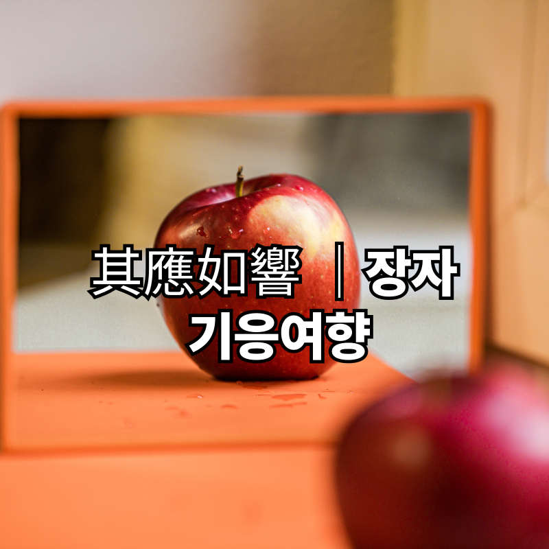 장자|기응여향(其應如響)|메아리처럼 반응하는 삶