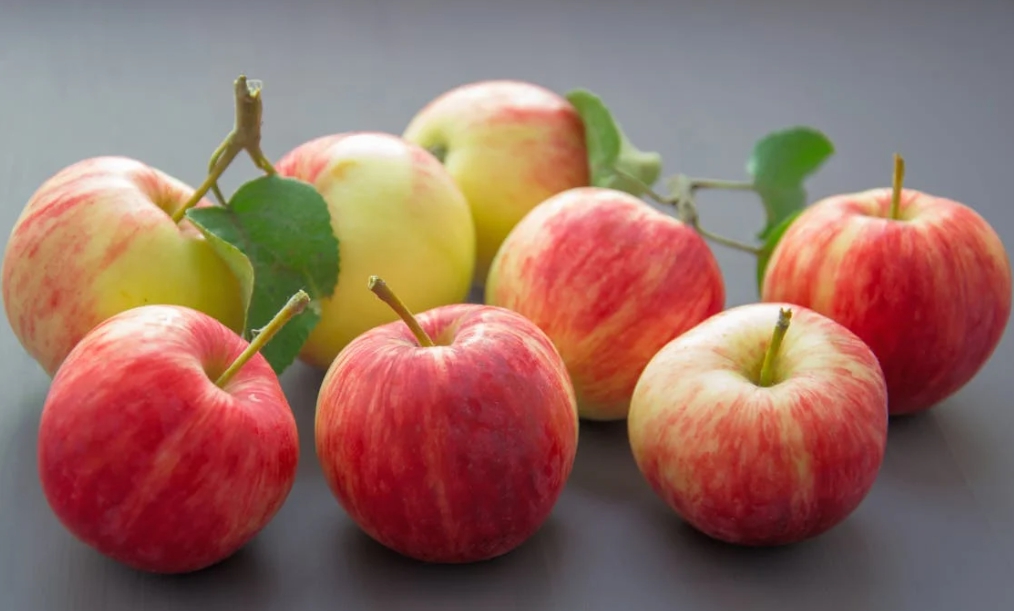 11월 제철 과일 사과 맛 영양 구매 팁