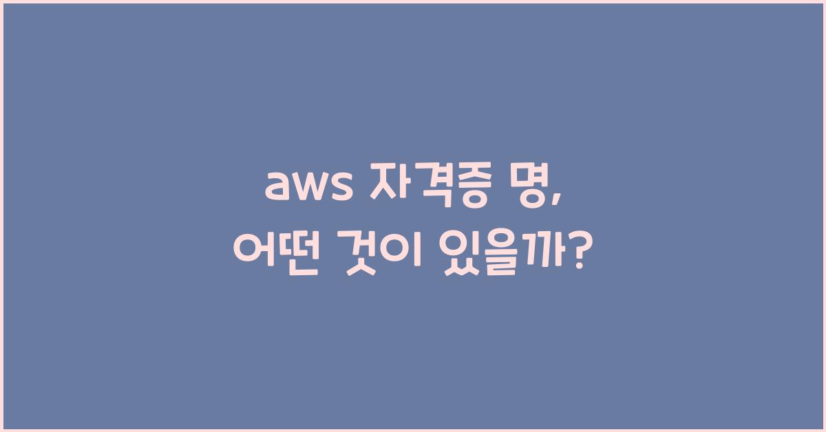 aws 자격증 명