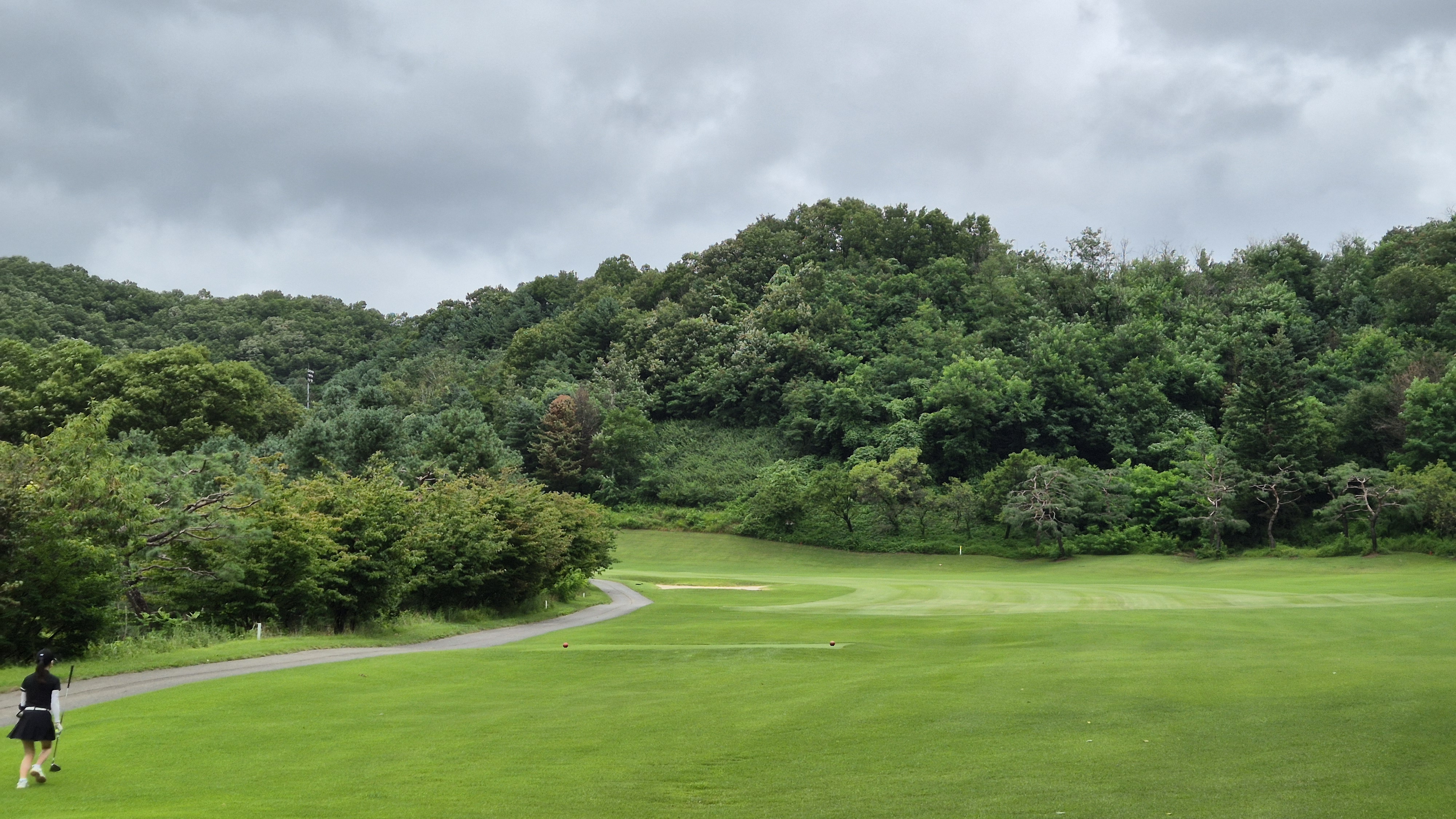 뉴서울cc 예술in-문화in 코스 사진 및 공략 정보