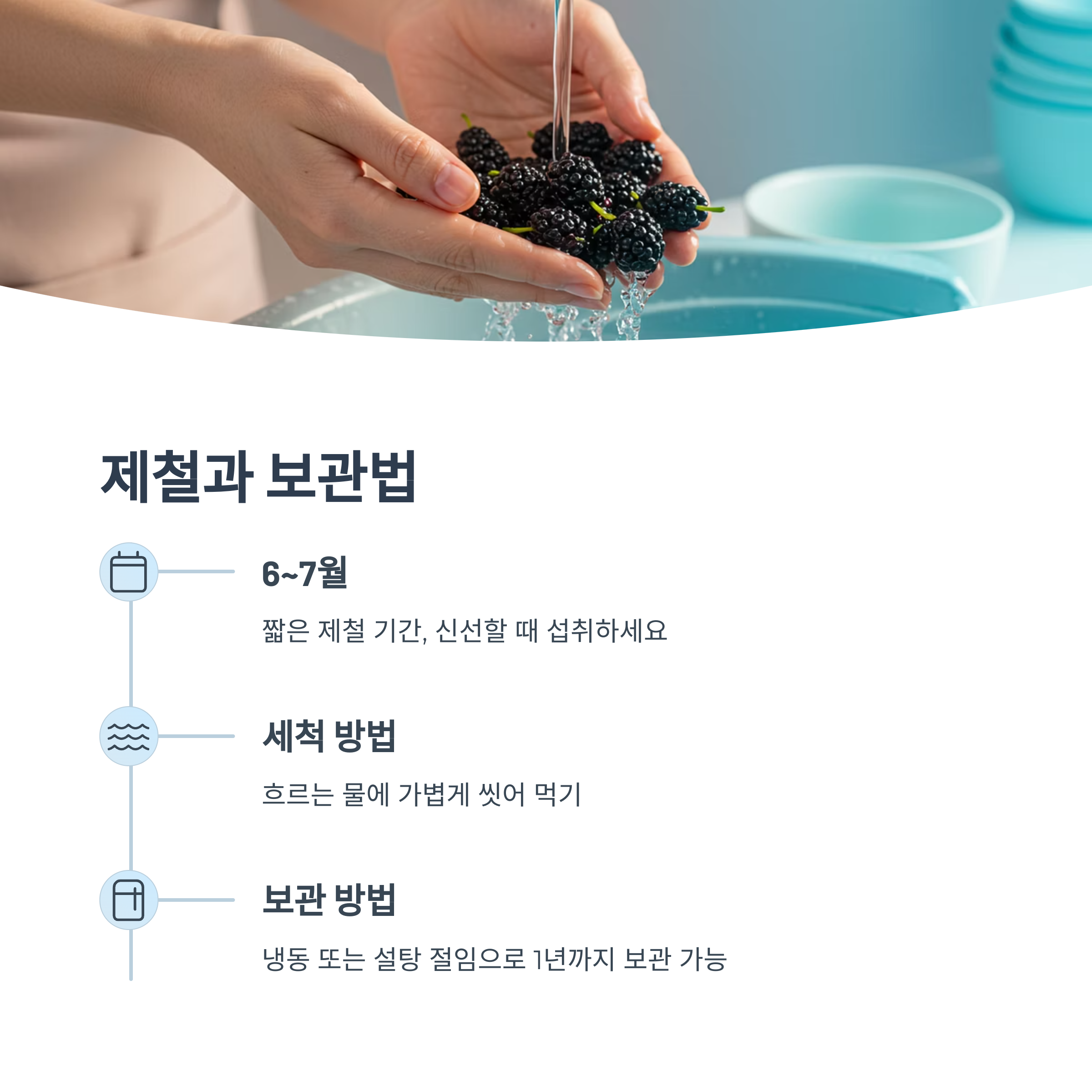 제철 시기와 보관 팁