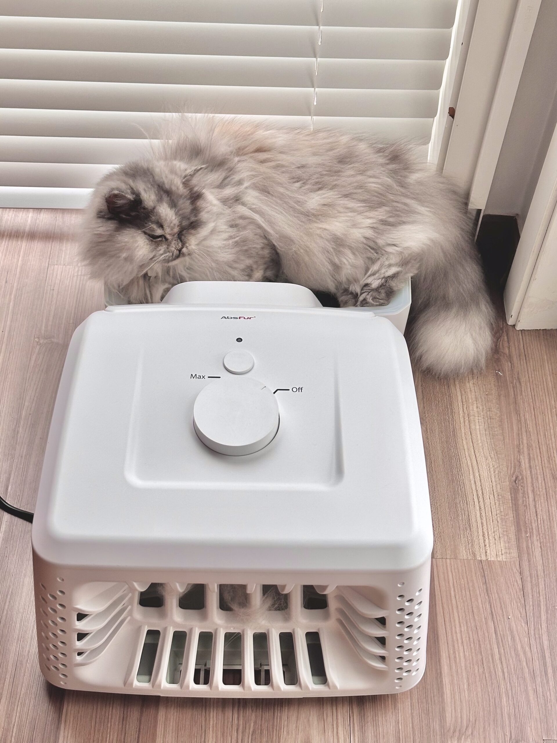 앱스퍼 옆에서 쉬고 있는 고양이 저소음이라 반려동물의 거부감이 적다는 것을 보여줌