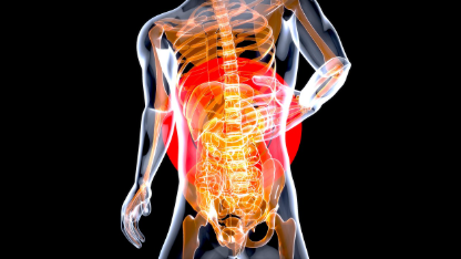 소화에 좋은 식사법, 속 편한 하루를 만드는 건강 습관