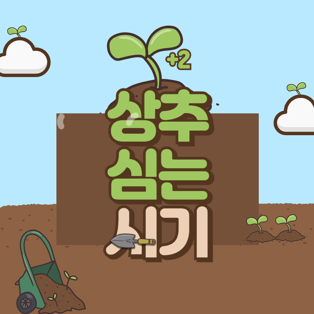 상추 심는 시기